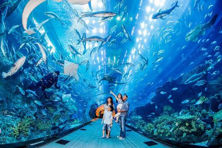 Discover Dubai: Travel Tips, Holiday Packages, and Must-Visit Places