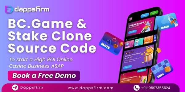 White-Label BC.Game & Stake Casino Clone Software – Affordable & Customizable