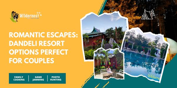 Romantic Escapes: Dandeli Resort Options Perfect for Couples