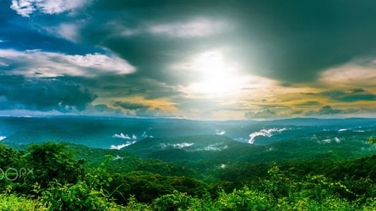 Where to Stay in Dandeli: Top Resorts Reviewed