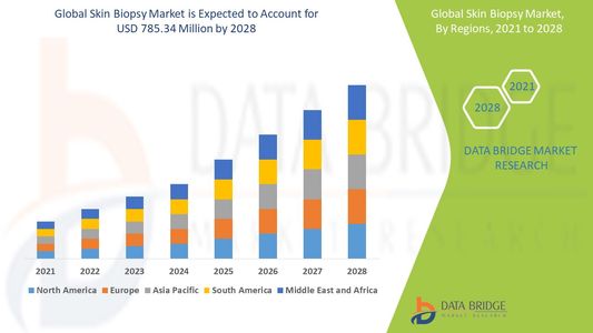 Skin Biopsy Market Revenue Forecast: Growth, Share, Value, and Trends