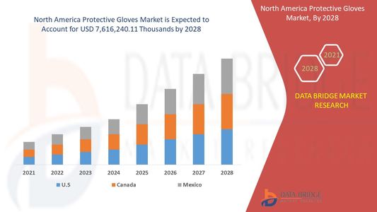 North America Protective Gloves Market Outlook: Growth, Share, Value, Size, and Trends
