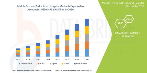 Middle East and Africa Smart Hospital Market Challenges: Growth, Share, Value, Size, and Insights