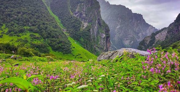 Valley of Flowers Entry Route: Know Your Stops from Joshimath to Ghangaria