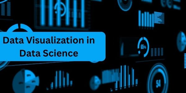 The Role of Data Visualization in Data Science