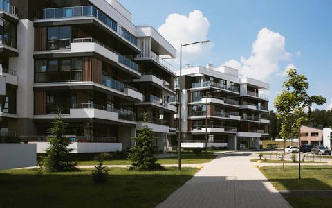 Read on to find out the benefits of choosing a rental home in the UAE that is ready to move into rig