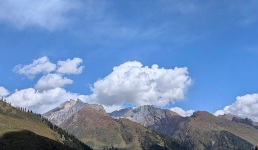 From Forests to Frozen Lakes: Explore the Wildest Treks in Manali