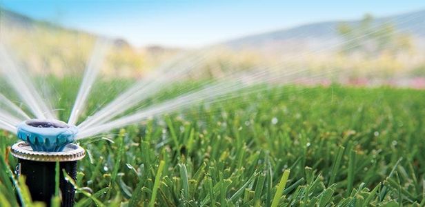 Eco-Friendly Irrigation Options for the Sustainable Landscaping in Victoria, BC