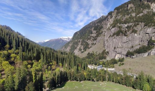 5 Best Short and Easy Treks in Himachal for Beginners