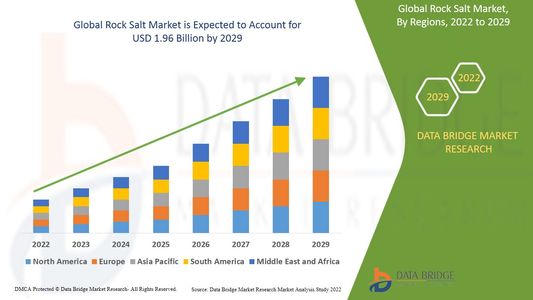 Rock Salt Market Size, Share, Trends, Growth Opportunities and Competitive Outlook