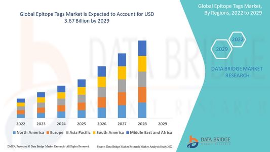 Epitope Tags Market Surges with Demand for Protein Research and Biotech Innovations