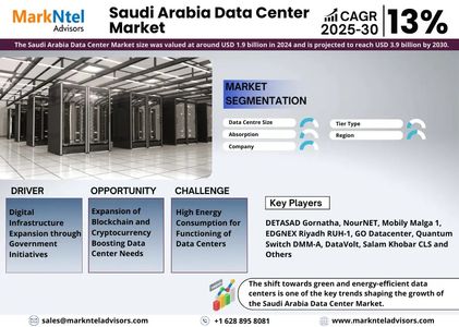 Saudi Arabia Data Center Market Growth and Development Insight - Size, Share, Growth, and Industry A