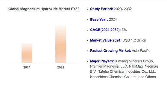 Magnesium Hydroxide Market Report 2024: Size, Share, Opportunities & 2032 Forecast