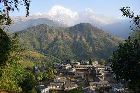 Ghorepani Ghandruk Trek Difficulty: What to Expect