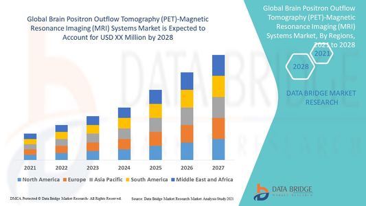 Brain Positron Outflow Tomography (PET)-Magnetic Resonance Imaging (MRI) Systems Market Companies:
