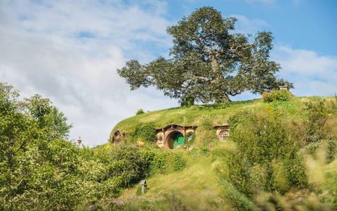 8 Scenic Spots to Photograph in New Zealand