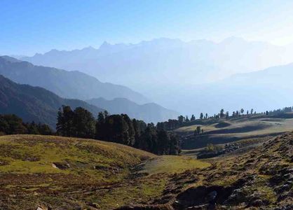 Best Time to Visit Dayara Bugyal Trek: Season-wise Guide for Trekkers