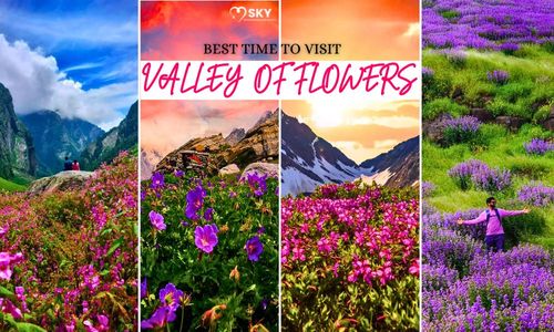 Valley of Flowers Trek – Explore Uttarakhand's Blooming Paradise