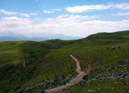 Dayara Bugyal Trek Distance: A Complete Guide for Trekkers