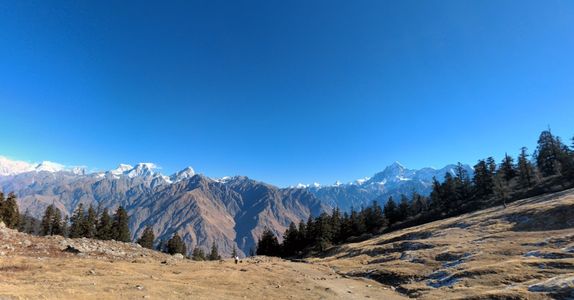 Between Heaven and Heritage: The Kuari Pass Experience