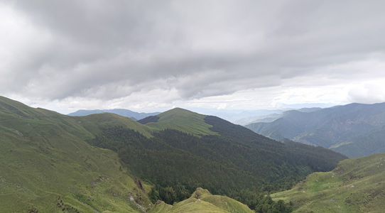 Ali Bedni Bugyal Trek: A Complete Guide to One of the Most Scenic Treks in Uttarakhand