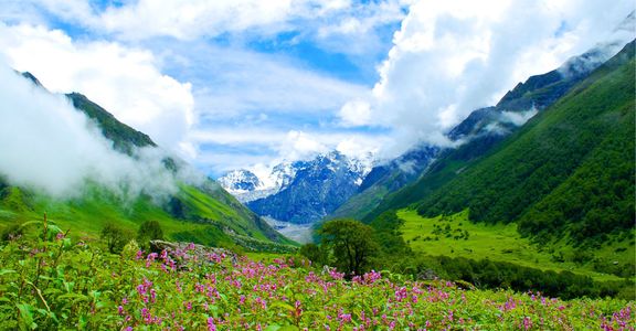 Book Valley of Flowers Trek Package – Scenic Trails Await