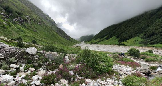 Valley of Flowers Trek: Easy, Moderate, or Tough? We Break It Down