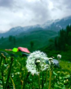 Timing Your Adventure: When to Trek Hampta Pass for the Best Experience