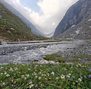 Hampta Pass Seasonal Guide: When Nature Shows Her Best Colors