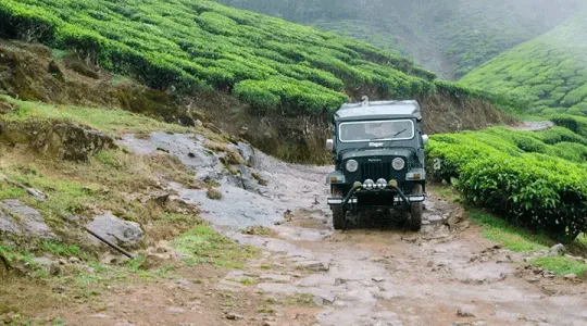 Adventure Above the Clouds: Mandalpatti Jeep Safari Experience