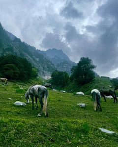 Best Months to Visit Hampta Pass for First-Time Trekkers