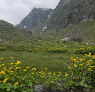 Top Mistakes to Avoid on the Hampta Pass Trek During Monsoon