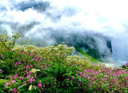 Is It Safe to Trek to Valley of Flowers During the Rainy Season
