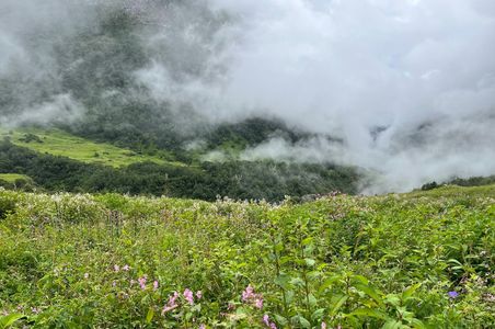 Why Valley of Flowers is the Perfect Moderate Trek for Nature Lovers