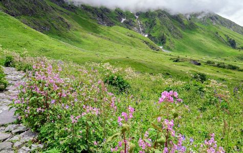 Valley of Flowers Trek: A 6-Day Himalayan Escape into Nature’s Lap