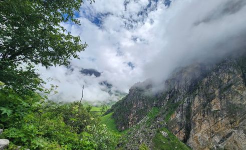 First-Timer’s Guide to Valley of Flowers: Everything You Need to Know