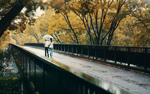 Top 10 Cultural Delights to Explore in Japan