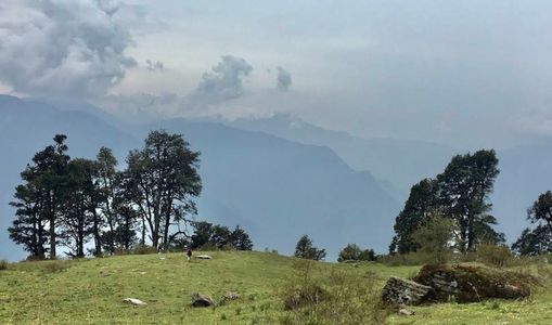 How to Reach Dayara Bugyal for a Monsoon Trek: Updated Travel Guide 2025