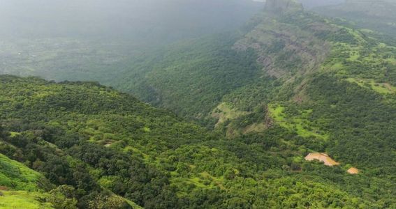 Easy Monsoon Treks in India That Offer Maximum Beauty with Less Effort