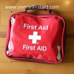 Which Roadside Car First Aid Kit Best Fits Your Vehicle Needs