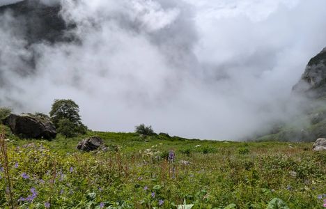 From Sahyadris to the Himalayas: India’s Best Monsoon Treks