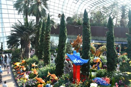 Top 5 Must-See Displays at Dubai Miracle Garden