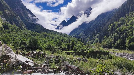 Trekking Begins Here: All You Need to Know About Ghangaria