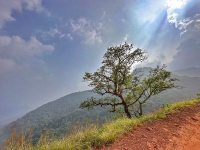 Mystic Trails and Mountain Tales: My Trekking Journey to Kodachadri