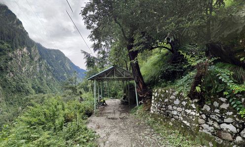Conquering Rain and Beauty: My Monsoon Trek to Valley of Flowers