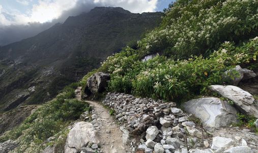 Gear Guide for a Rainy-Season Trek to the Valley of Flowers