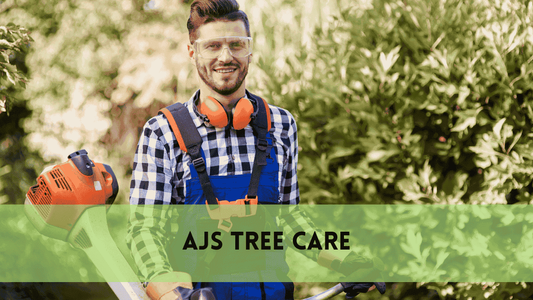 Advanced Tree Service & Affordable Tree Trimming for a Safer, Greener Yard