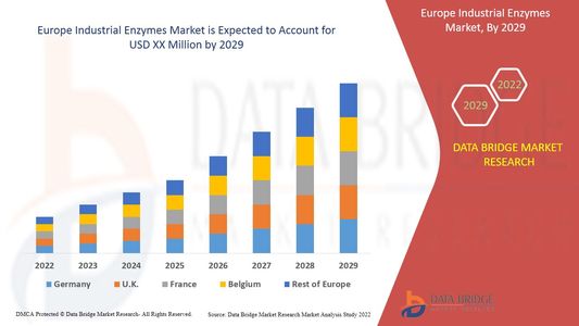 Europe Industrial Enzymes Market Strengthens with Demand Across Biofuel, Detergent, and Food Sectors