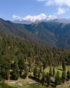 Gentle Trails Ahead: Easy Routes in Uttarakhand for First-Time Trekkers and Kids