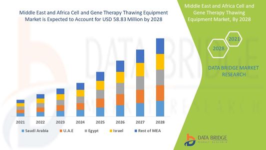 Middle East and Africa Cell and Gene Therapy Thawing Equipment Market Set to Expand with Rising Biot